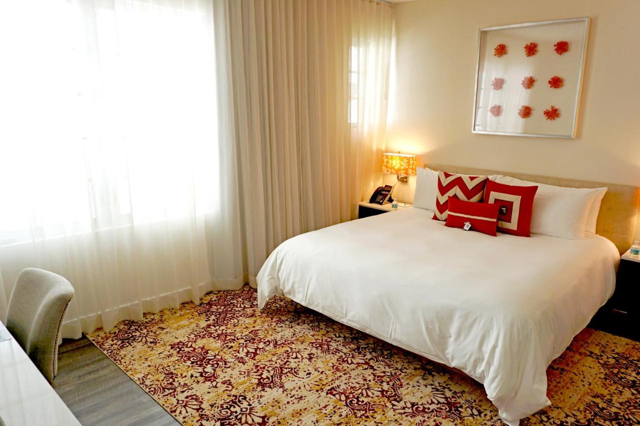 Studio - Disability Access at The Marlin Hotel