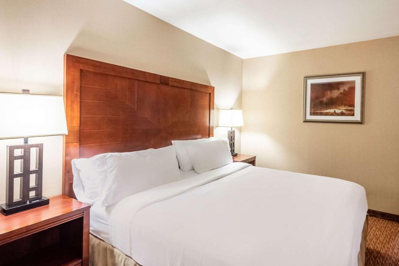 King Room - Mobility Accessible/Non-Smoking at Holiday Inn Frisco by IHG