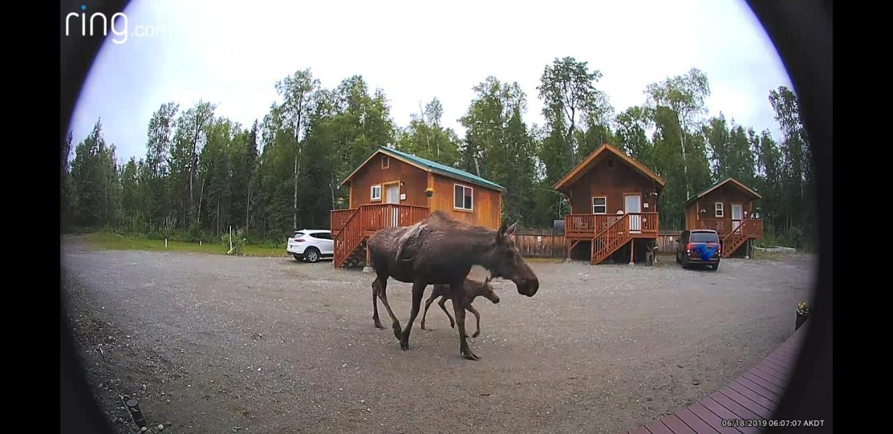 | Talkeetna Love-Lee Cabins