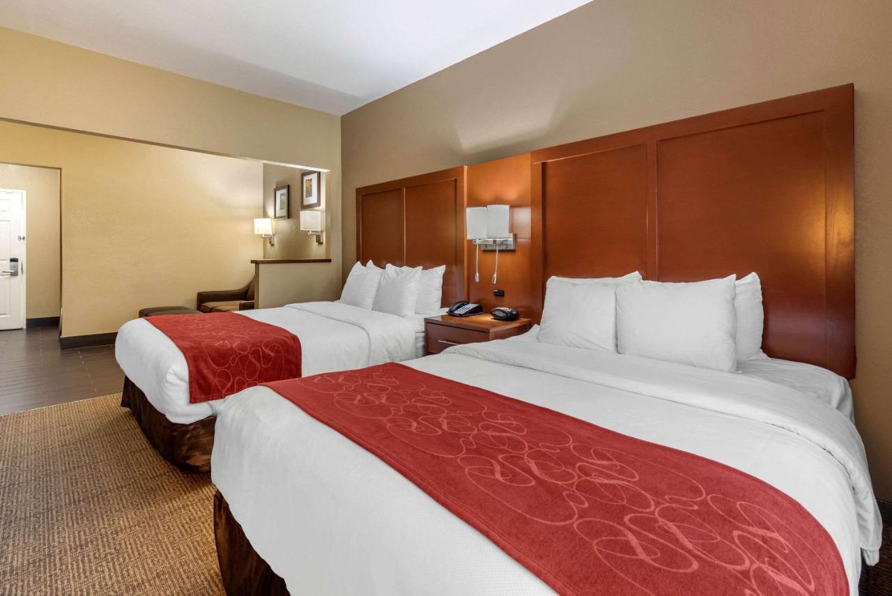 Suite with Two Double Beds - Accessible/Non-Smoking at Comfort Suites Fort Collins Near University