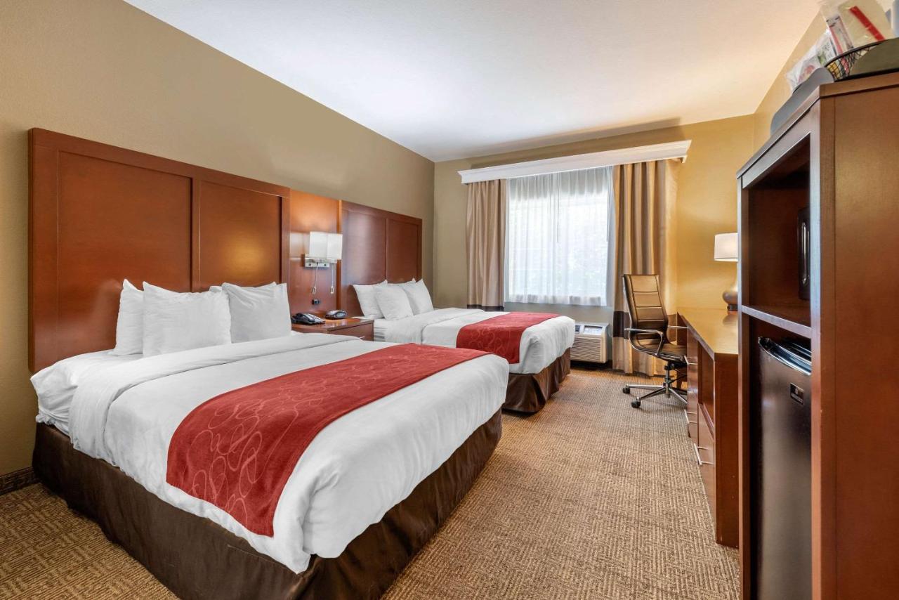 Queen Suite with Two Queen Beds - Non Smoking at Comfort Suites Fort Collins Near University