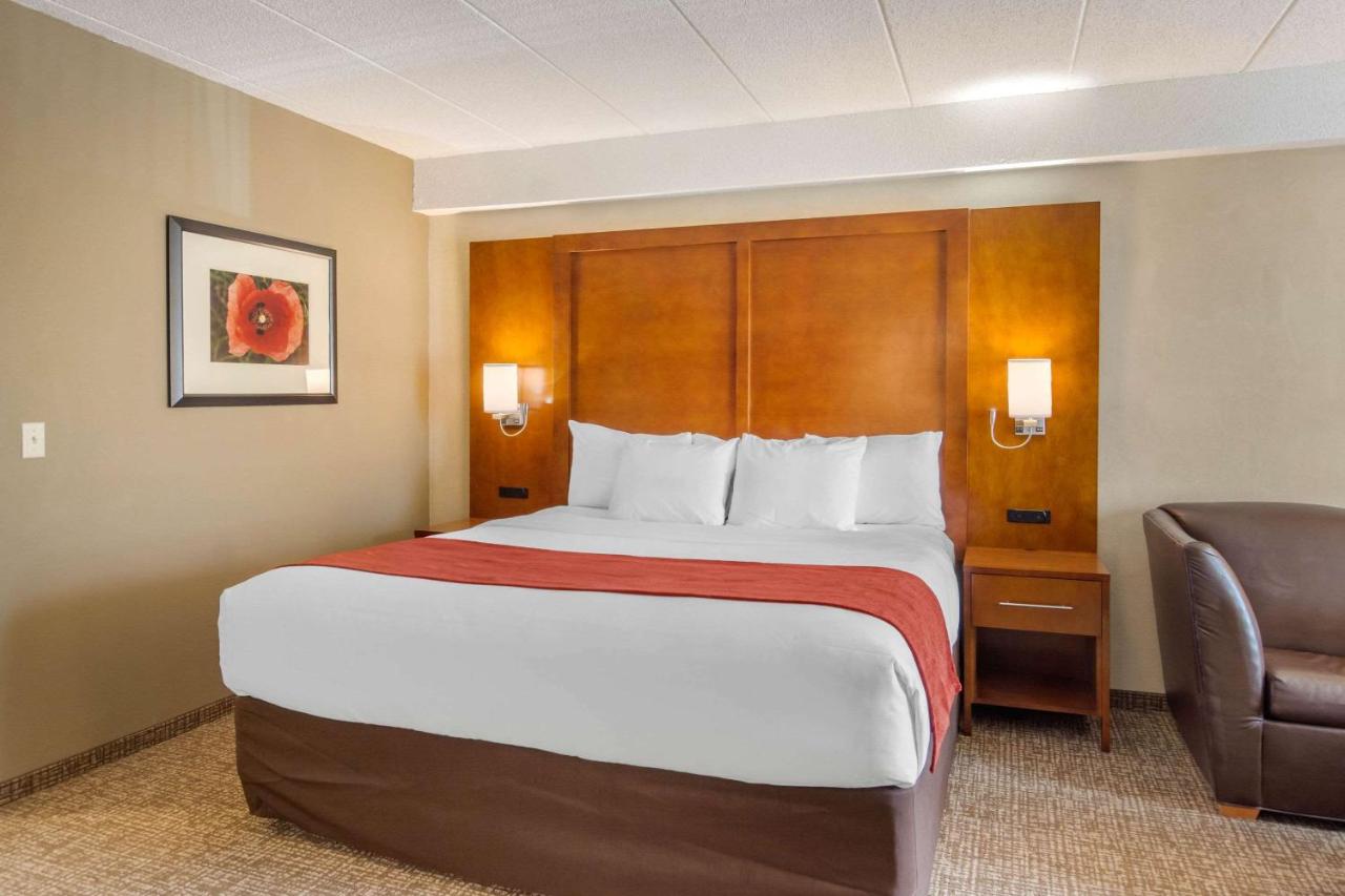 Standard King Suite - Non-Smoking at Comfort Suites South Park
