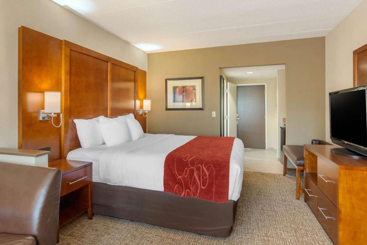 King Suite - Non-Smoking at Comfort Suites South Park