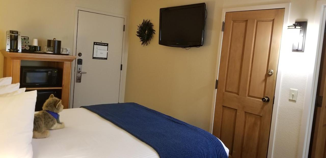 Courtyard Compact Room One Queen Bed at The Rockwell Inn