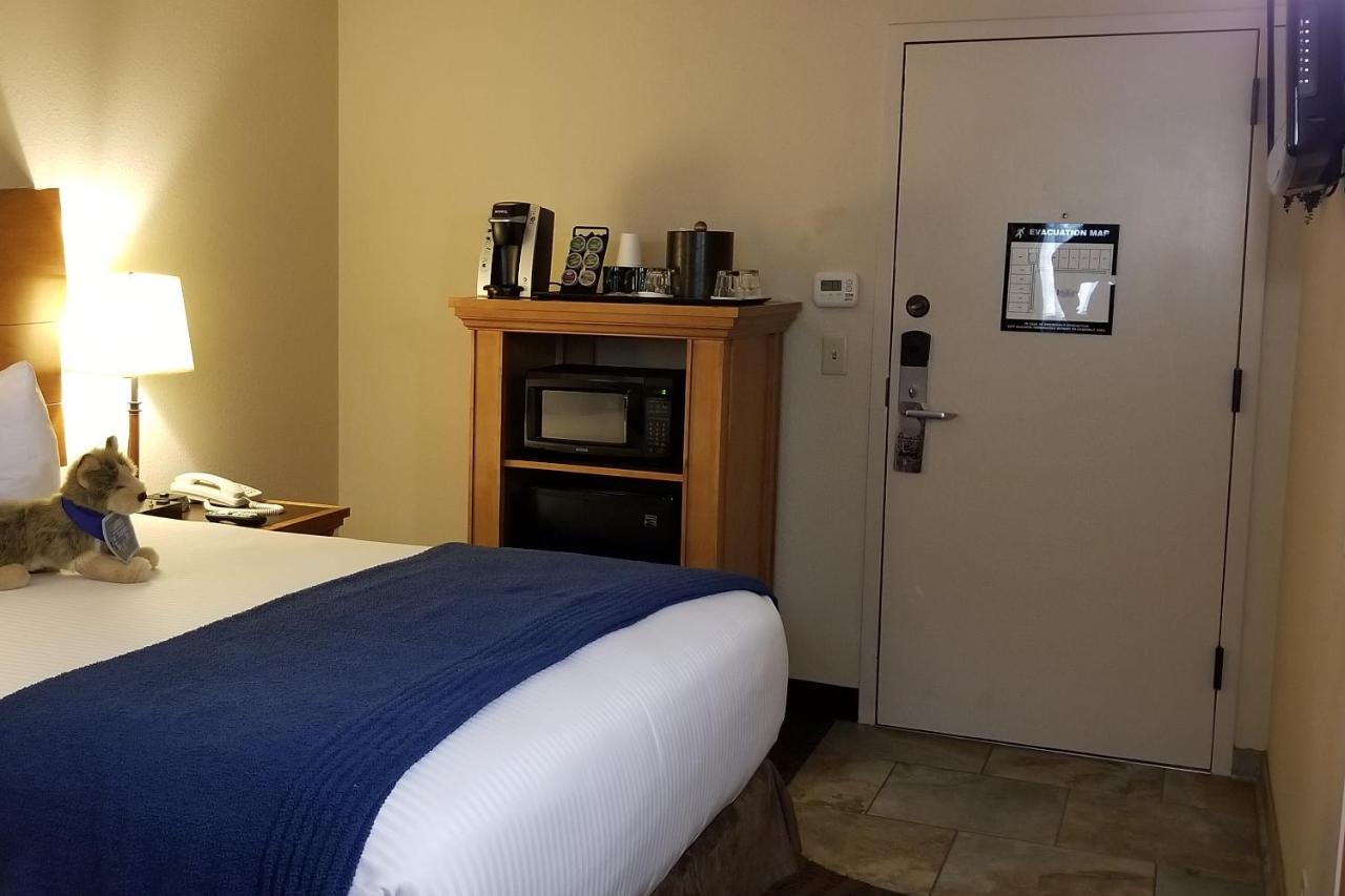 Courtyard Compact Room One Queen Bed at The Rockwell Inn