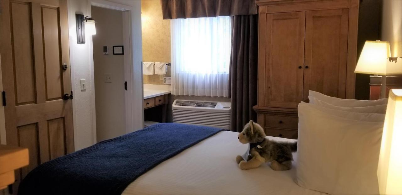 Courtyard Compact Room One Queen Bed at The Rockwell Inn
