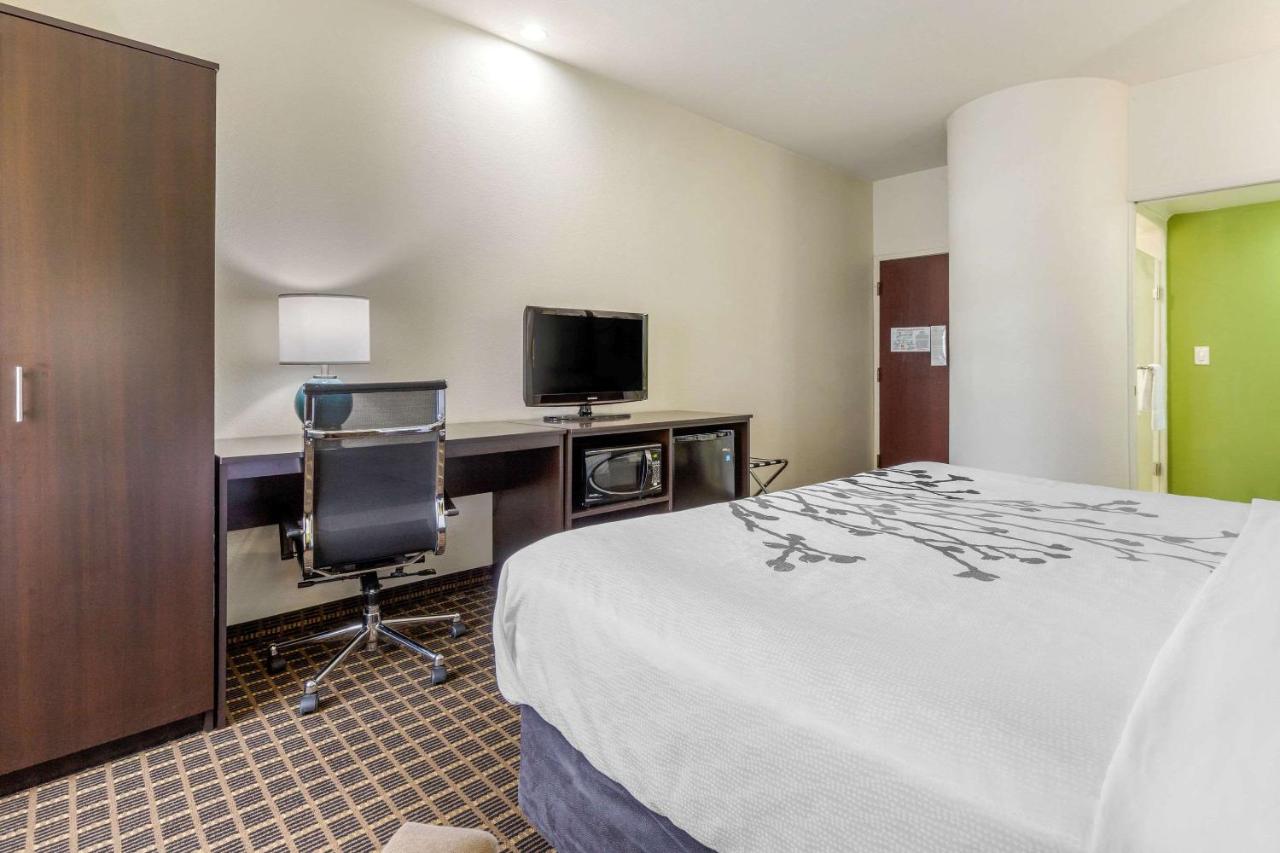 King Room - Non-Smoking at Sleep Inn Orangeburg