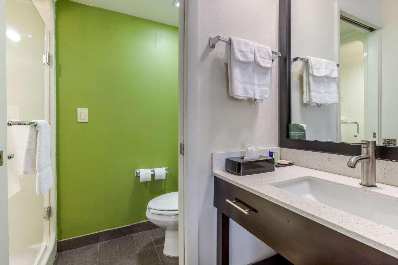 King Room - Non-Smoking at Sleep Inn Orangeburg