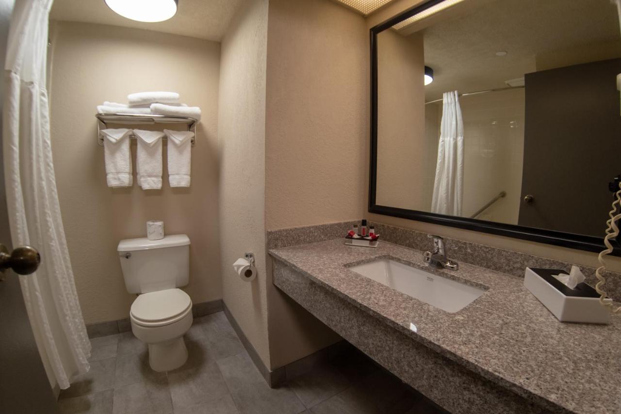 King Room - Non-Smoking at Baymont by Wyndham Shakopee