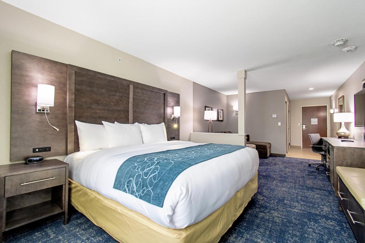 King Suite - Non-Smoking at Comfort Suites Humble Houston IAH