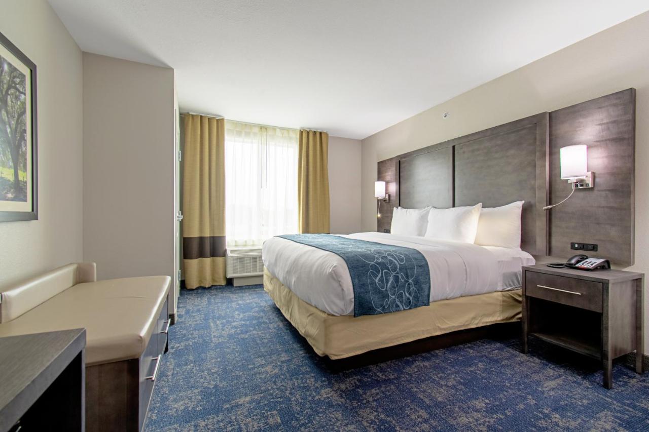 King Suite - Non-Smoking at Comfort Suites Humble Houston IAH