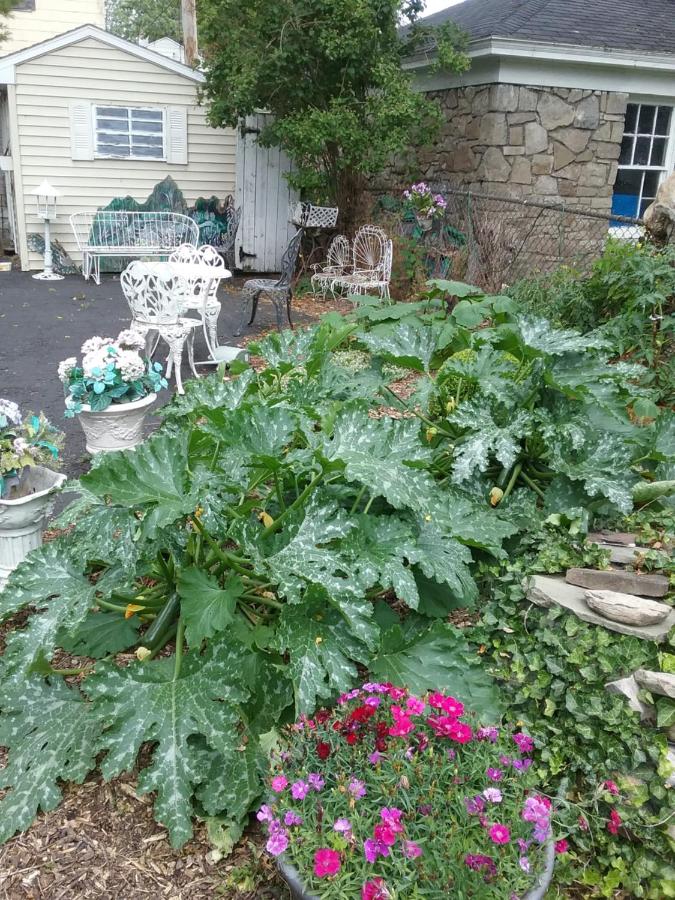  | Hanover House Bed and Breakfast