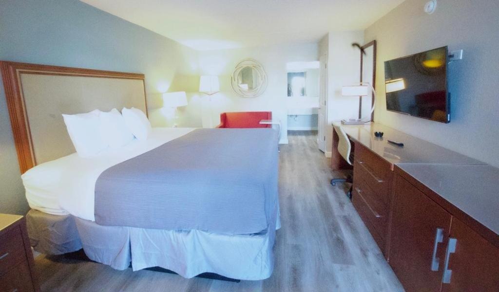King Room (Remodeled) - Smoking at All Seasons Inn & Suites