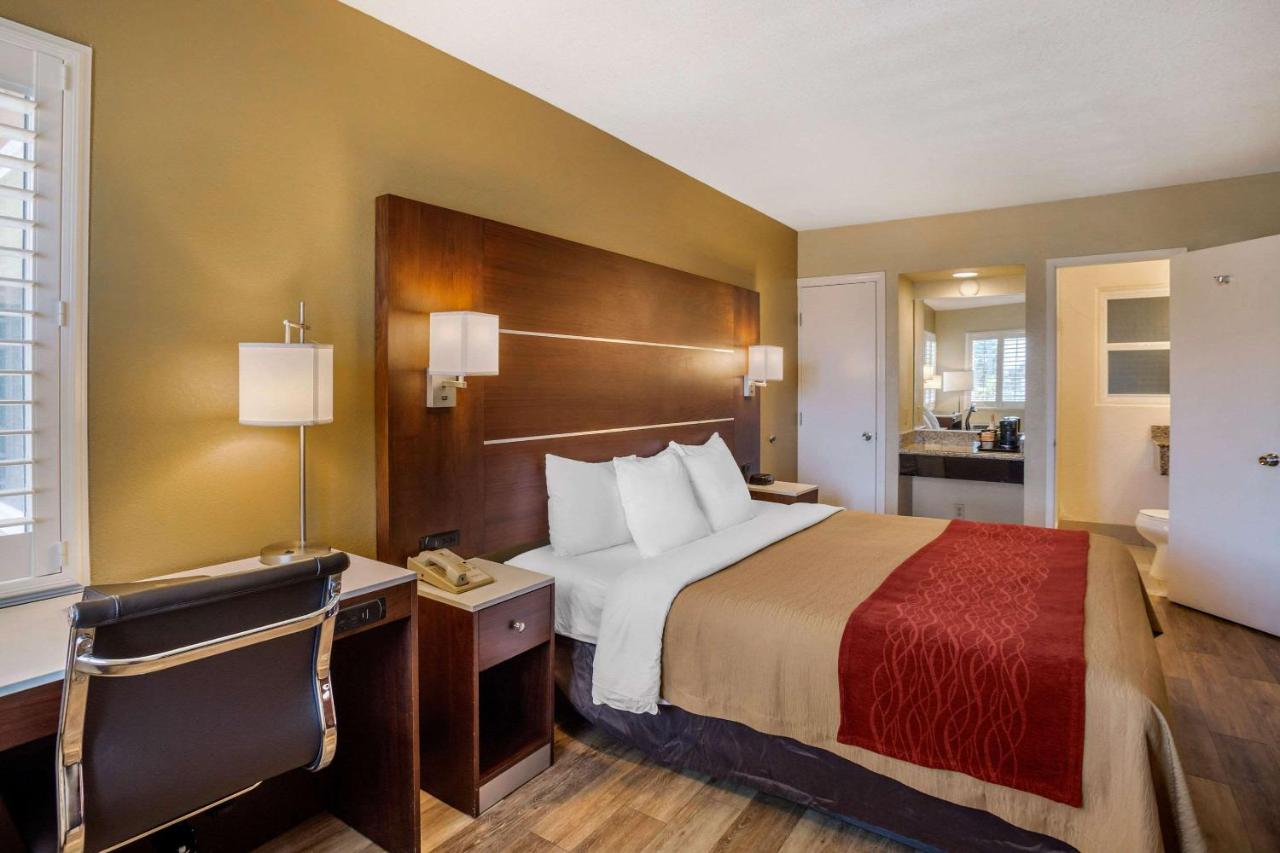 Deluxe Room, 1 King Bed, Non Smoking at Comfort Inn San Diego Airport At The Harbor
