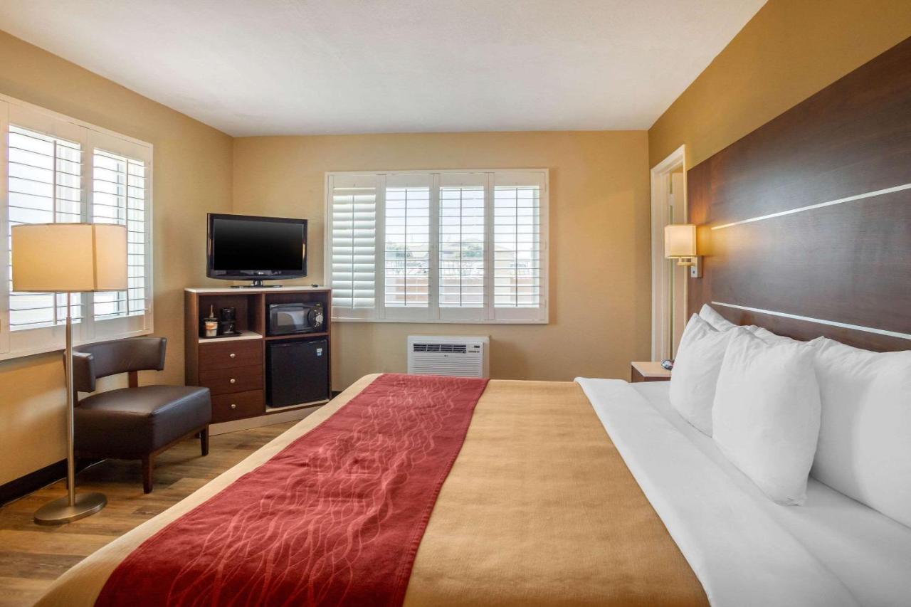 Deluxe Room, 1 King Bed and Bunk Bed, Non Smoking at Comfort Inn San Diego Airport At The Harbor