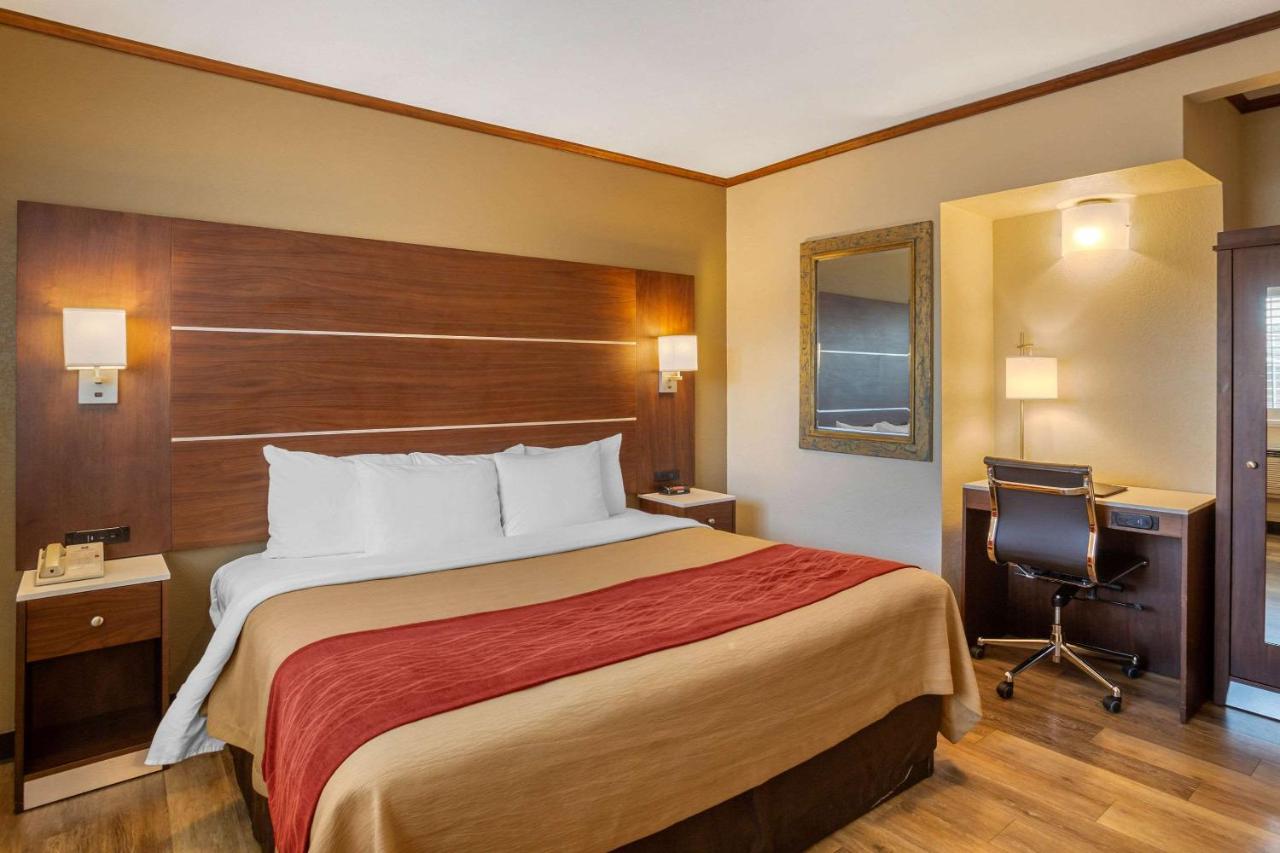 Accessible Room, 1 King Bed, Roll-In Shower, Non Smoking at Comfort Inn San Diego Airport At The Harbor