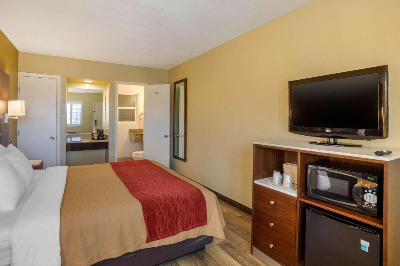 Standard Room, 1 King Bed, Non Smoking at Comfort Inn San Diego Airport At The Harbor