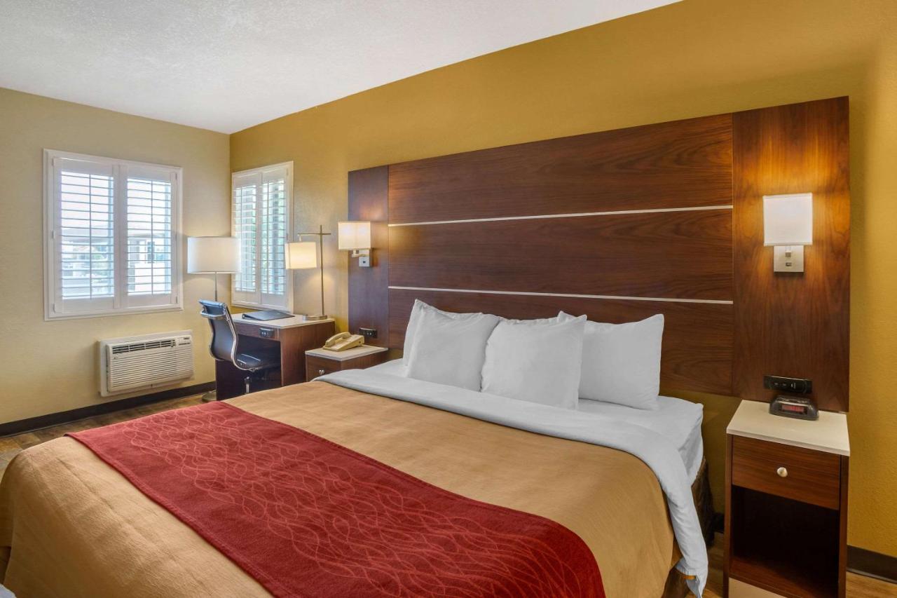 Standard Room, 1 King Bed, Non Smoking at Comfort Inn San Diego Airport At The Harbor