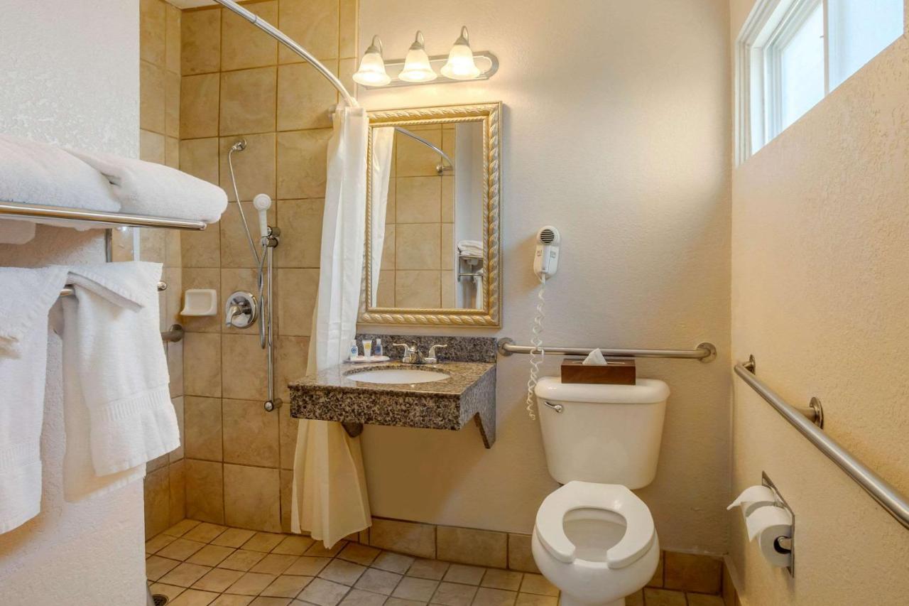 Accessible Room, 1 King Bed, Roll-In Shower, Non Smoking at Comfort Inn San Diego Airport At The Harbor