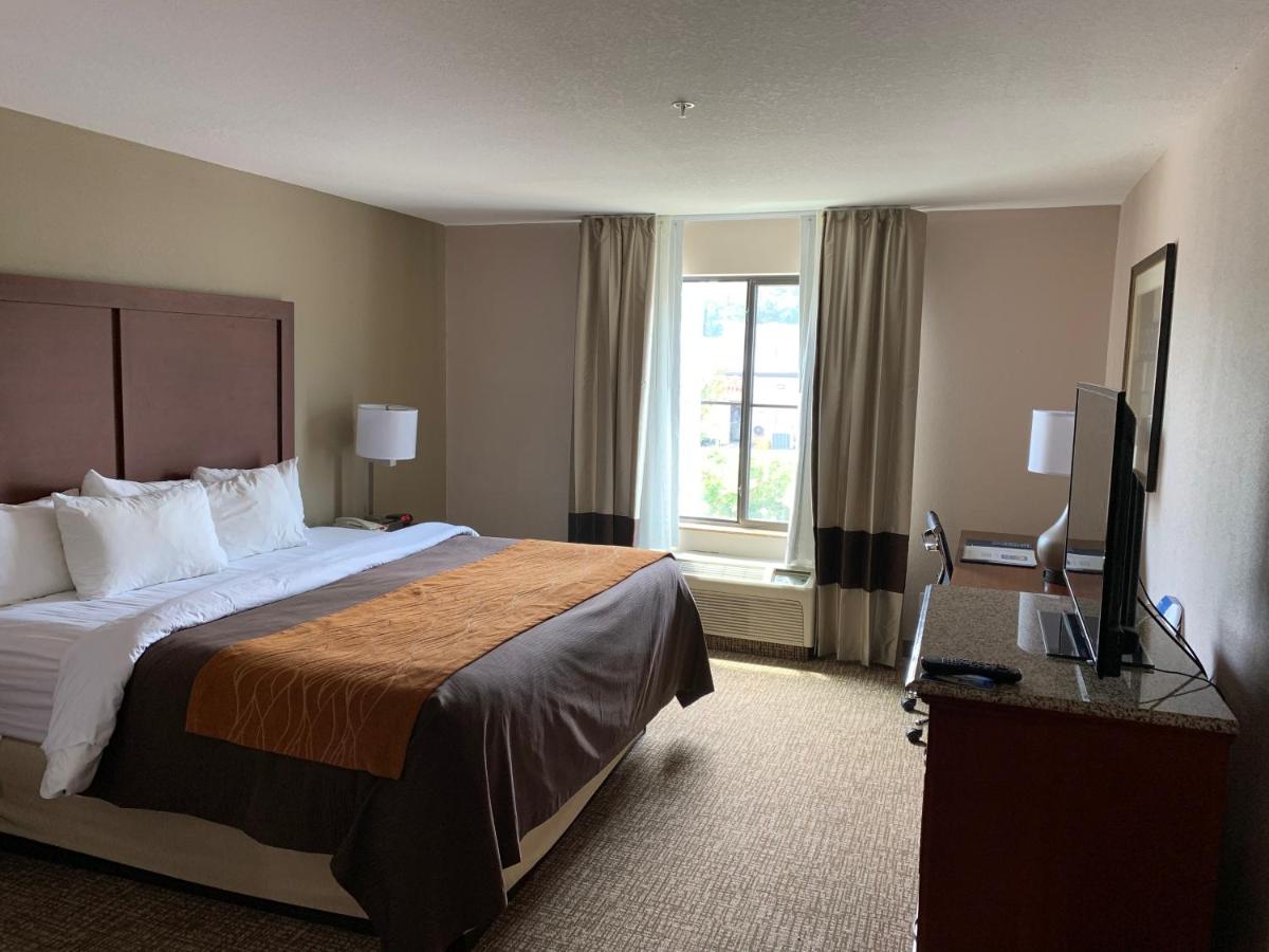 King Room - Accessible/Non-Smoking at Comfort Inn Smithfield near I-95