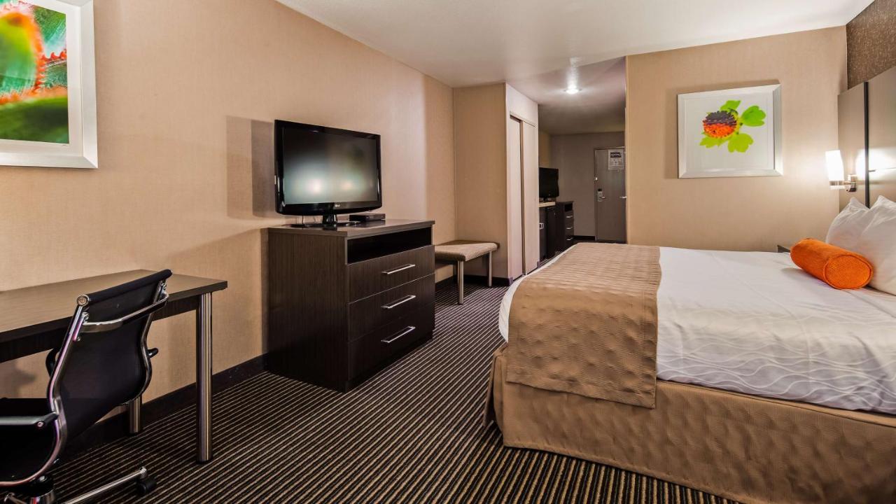 King Suite with Sofa Bed - Non-Smoking at Best Western Plus Rama Inn & Suites