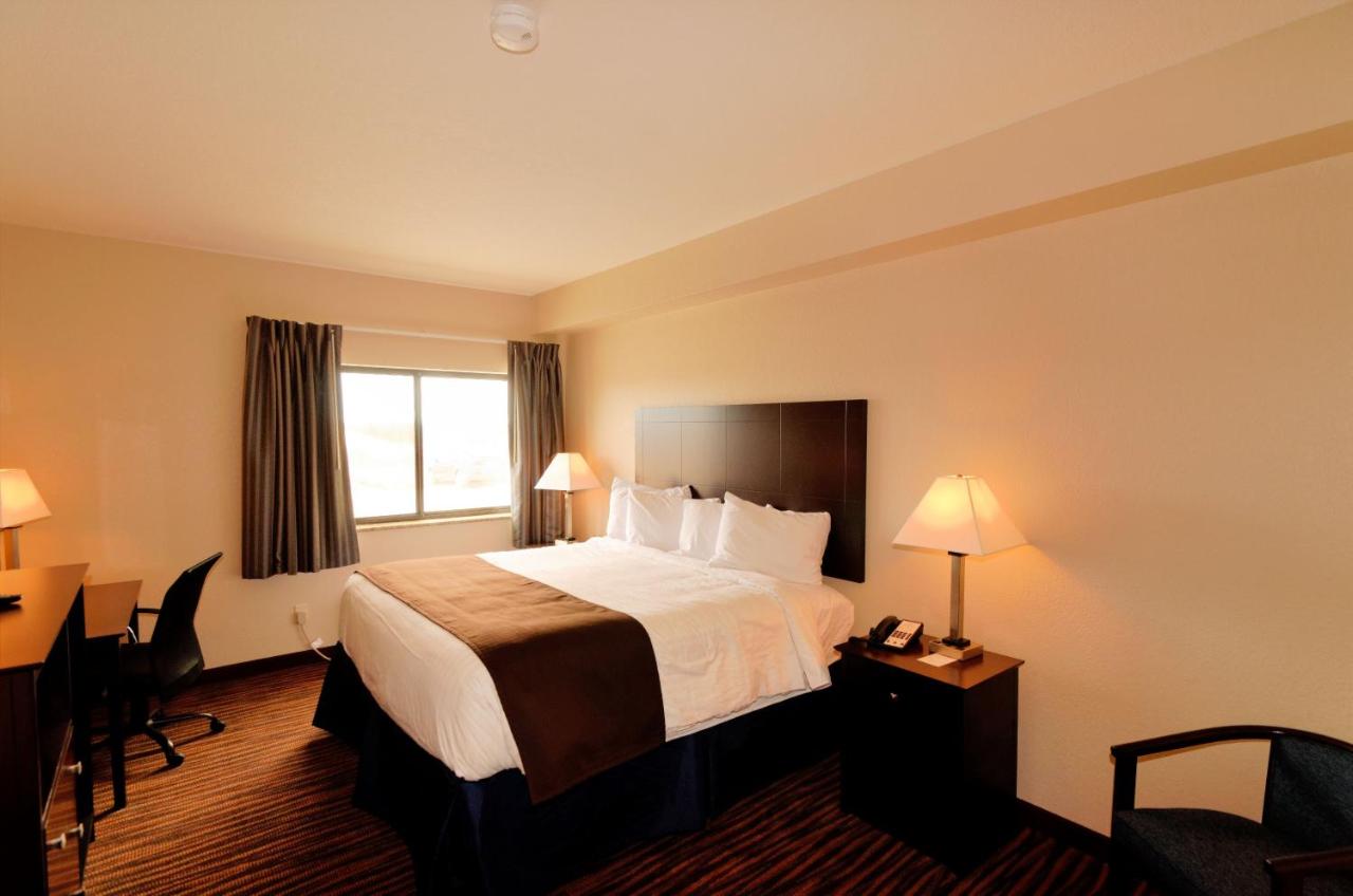 Standard King Room at Cobblestone Inn & Suites - Denison - Oak Ridge
