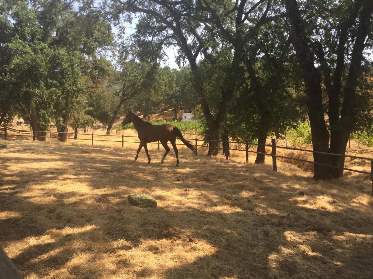 | Rustridge Ranch & Winery