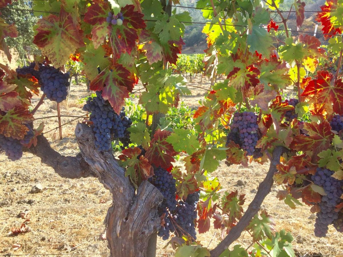 | Rustridge Ranch & Winery