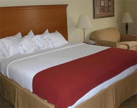 King Room - Disability Access at Holiday Inn Express & Suites Zapata by IHG