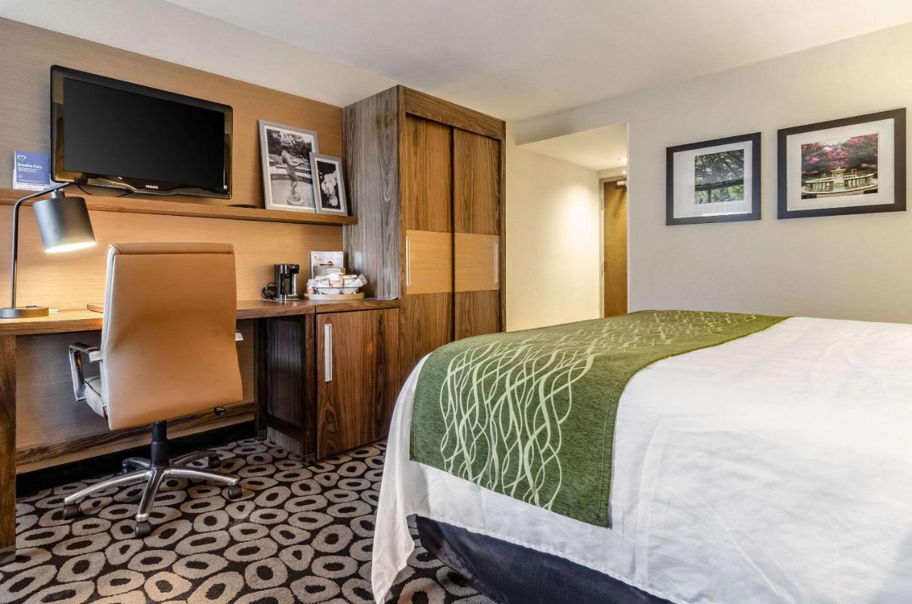 King Room with Bath Tub - Non-Smoking at Comfort Inn Raleigh Midtown