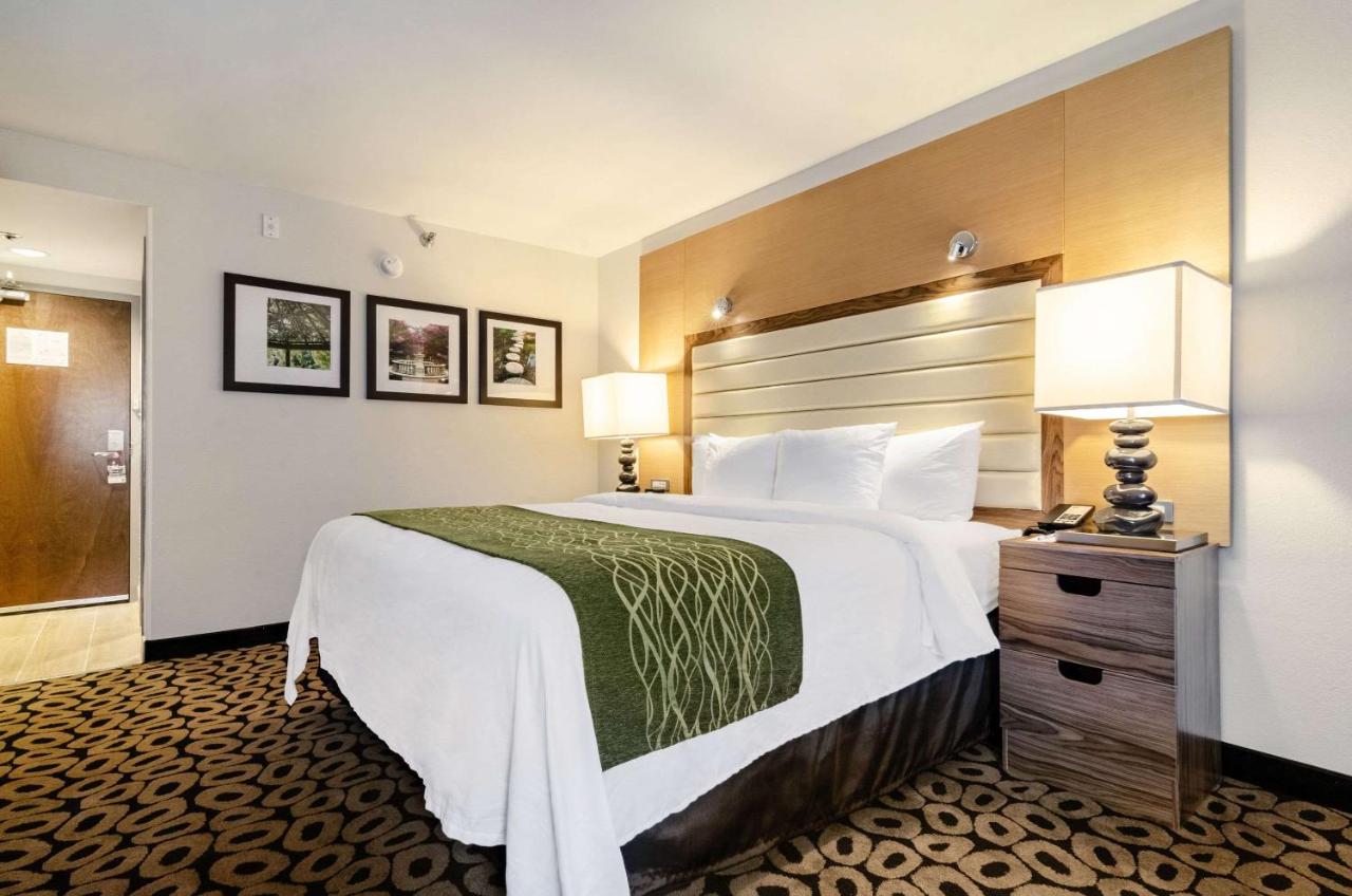 King Room with Bath Tub - Non-Smoking at Comfort Inn Raleigh Midtown