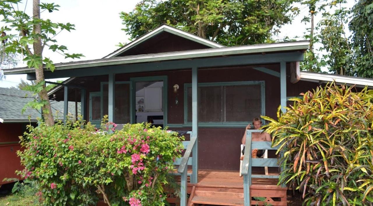 | Backpackers Vacation Inn and Plantation Village
