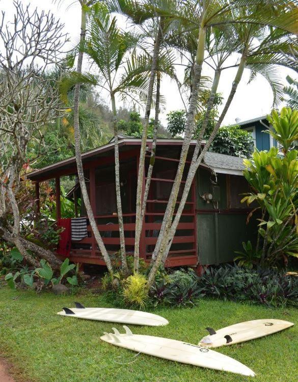 | Backpackers Vacation Inn and Plantation Village