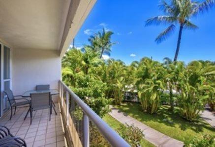 | Maui Banyan G203