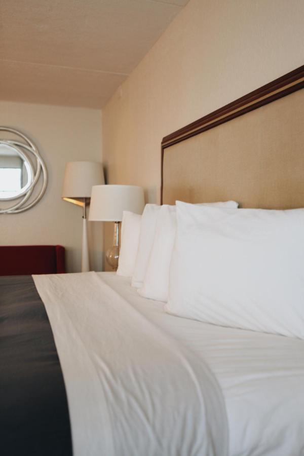 King Room (Remodeled) - Non-Smoking at All Seasons Inn & Suites