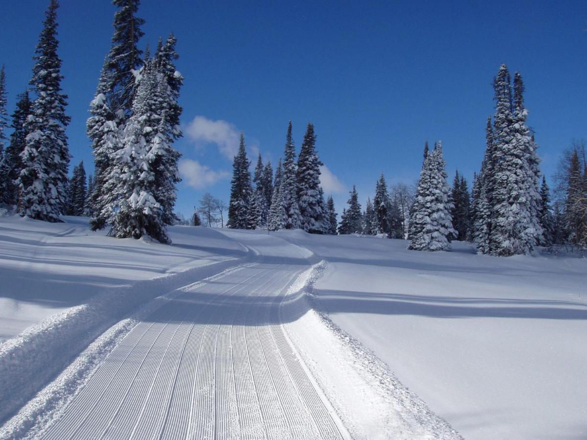 | Daniels Summit Lodge
