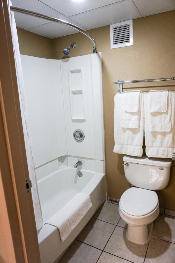 Executive King Room at Boarders Inn & Suites by Cobblestone Hotels – Grand Island