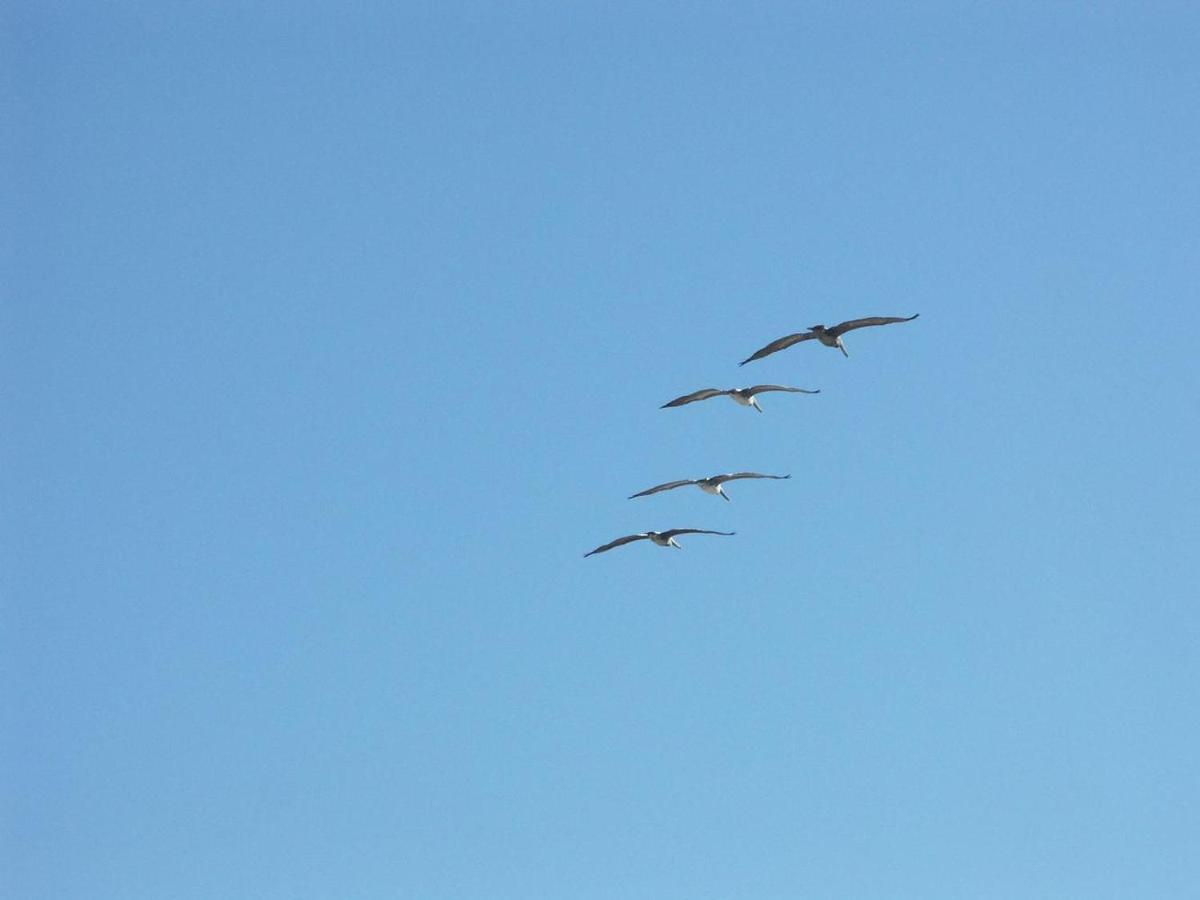  | Flagler Beach Motel and Vacation Rentals
