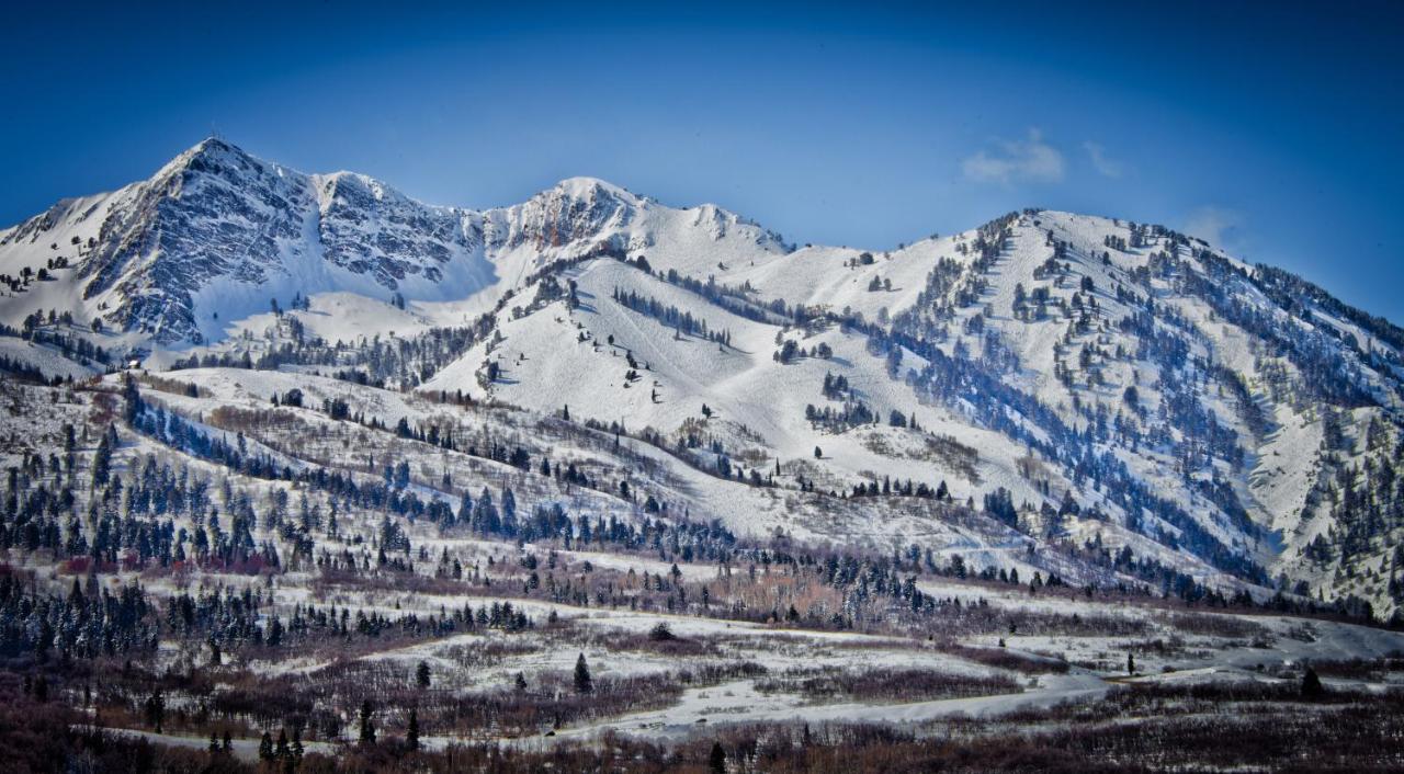 | Alaskan Inn and Spa