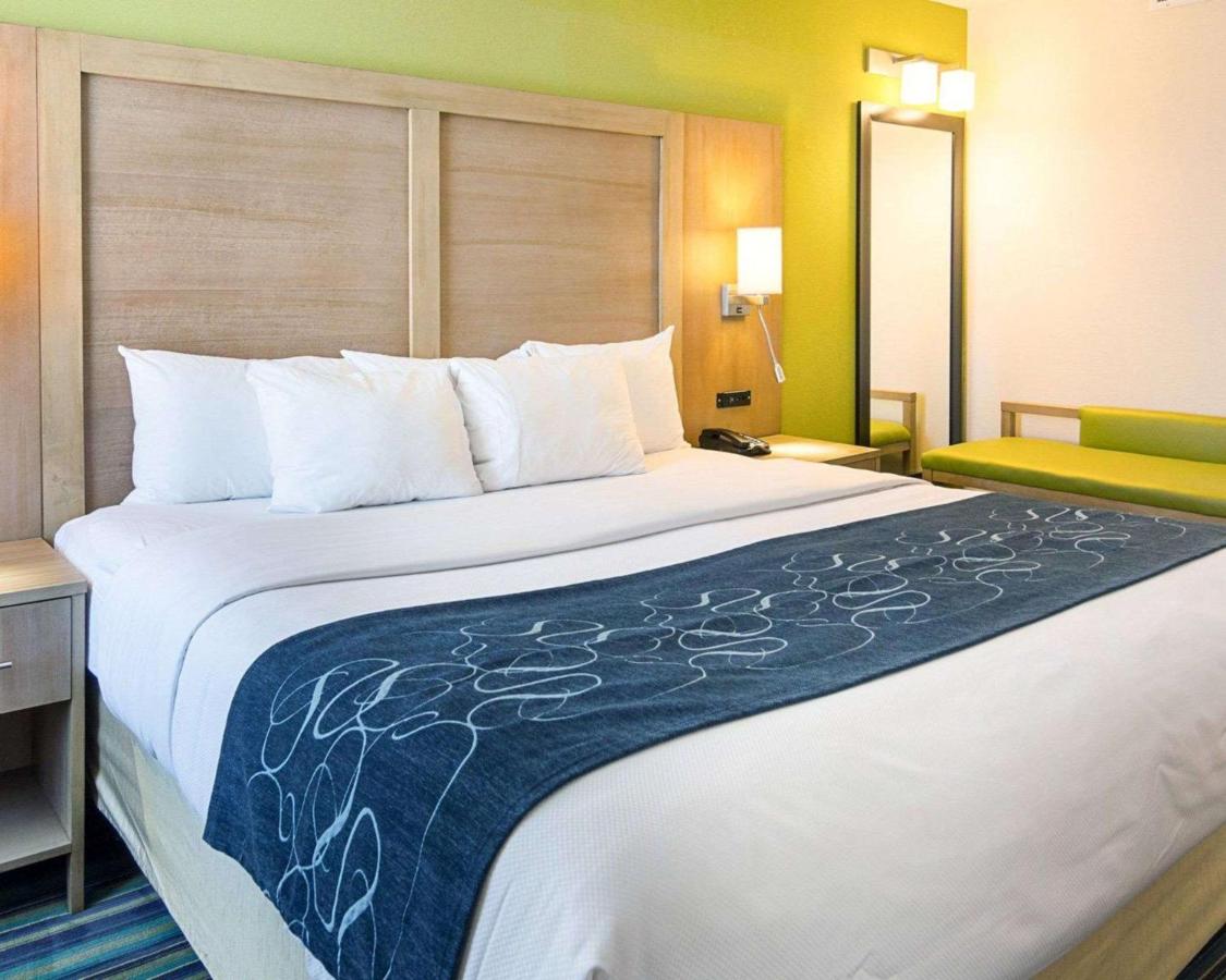 King Suite Ocean Front with Sofa Bed - Non-Smoking at Comfort Suites Beachfront