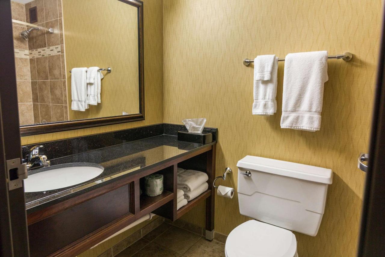 King Room - Non-Smoking at Clarion Hotel Convention Center