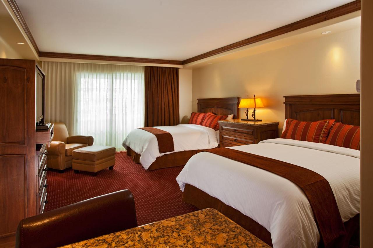 Double Room - Disability Access at Tivoli Lodge