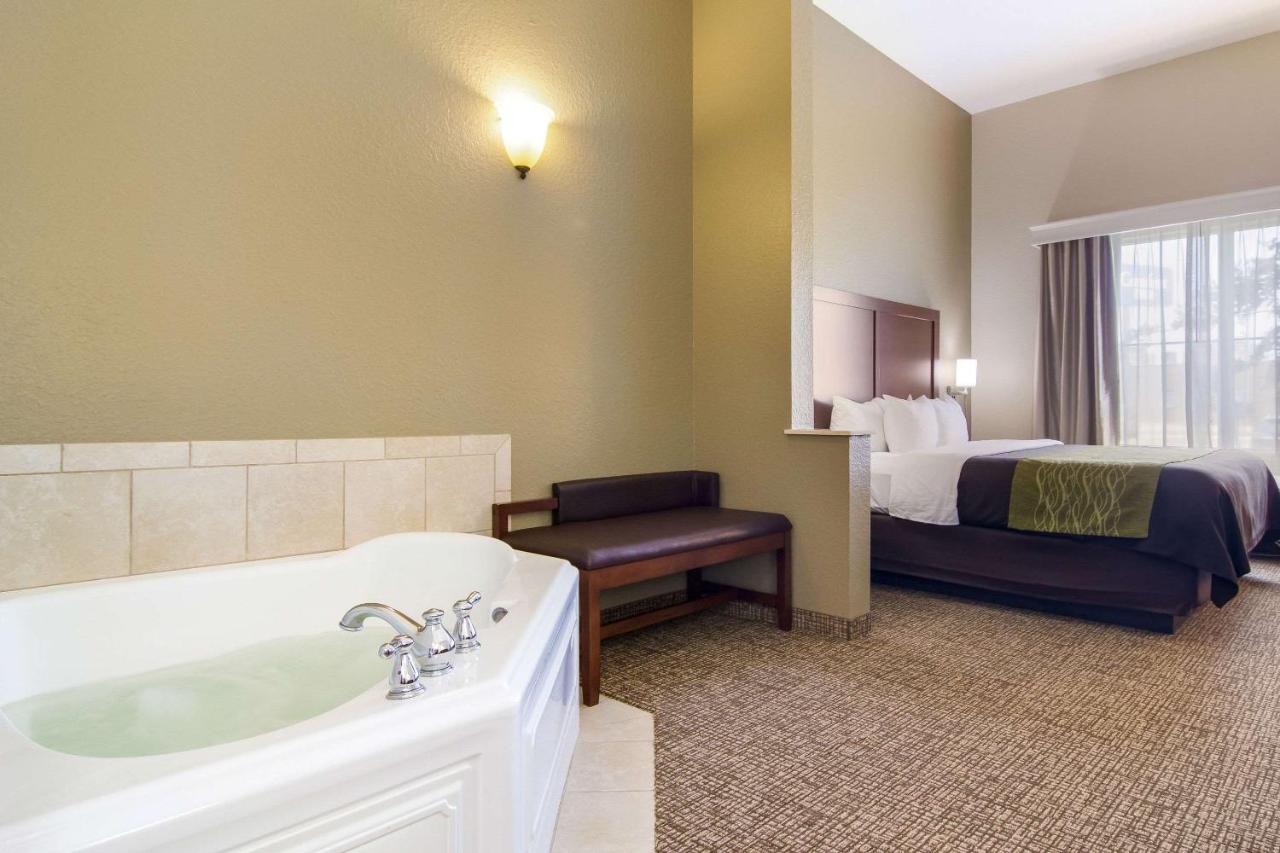 | Comfort Inn Blackshear Hwy 84