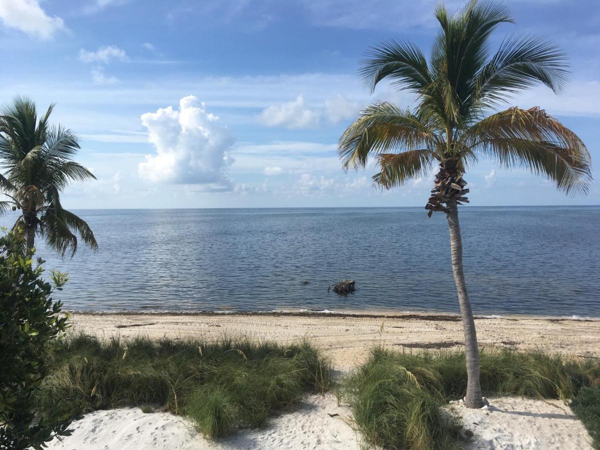 | Deer Run on the Atlantic