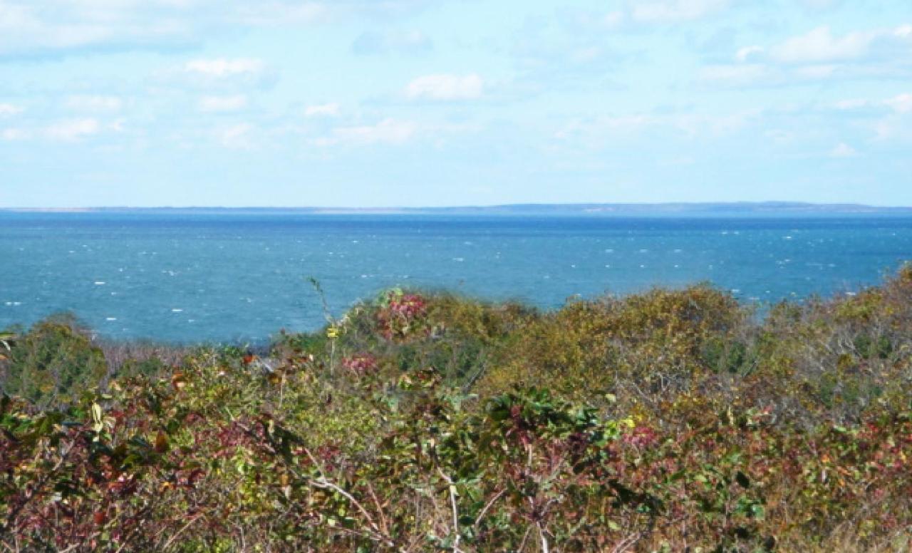  | Montauk Manor