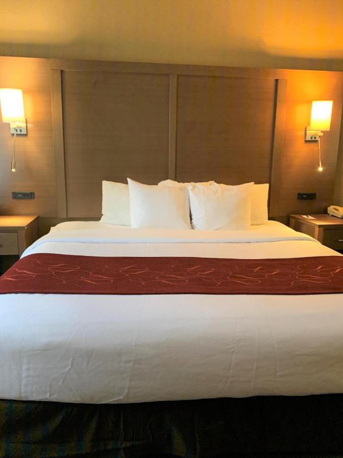 King Suite at Comfort Suites Bush Intercontinental Airport