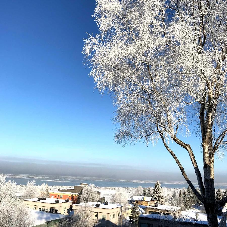 | Susitna Place B&B