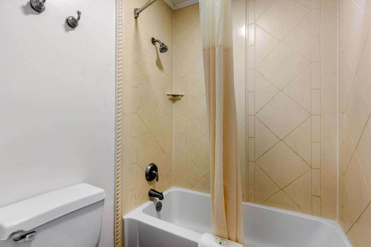 Queen Room with Two Queen Beds - Non-Smoking at Quality Inn Athens I-65 / Huntsville Area West