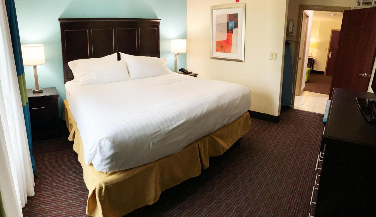 One-Bedroom Suite with King Bed - Non-Smoking at Holiday Inn Express Hotel & Suites Gainesville by IHG