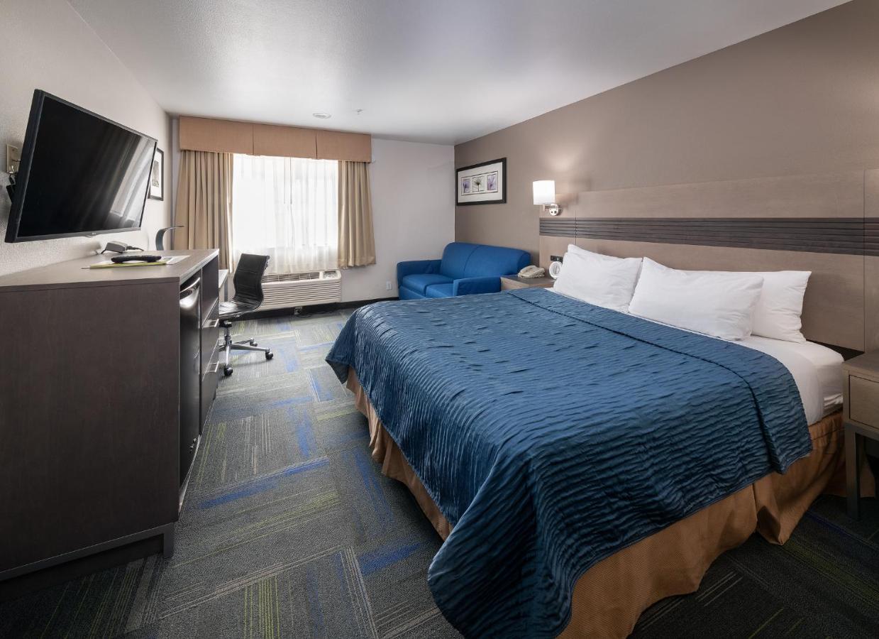 Deluxe King Room at Buena Vista Motor Inn